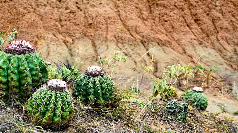 Miércoles de Geología del mes de septiembre será presentado por David Buchs